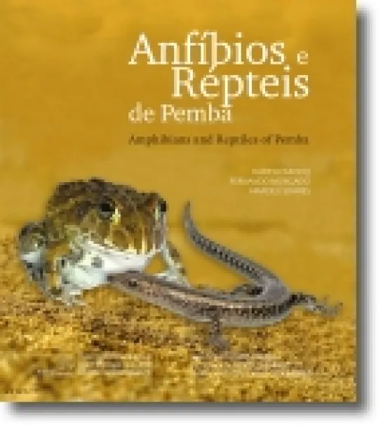 Anfíbios e Répteis de Pemba