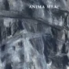 Anima Mea