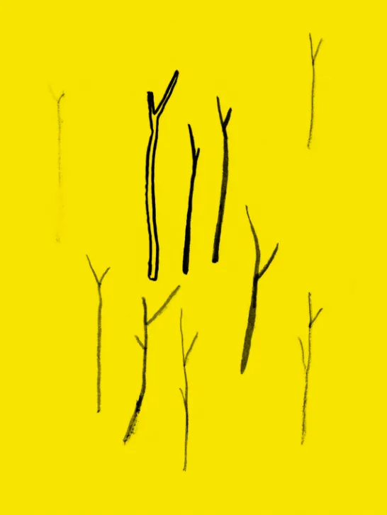 Arquivos de Bouça Fria