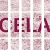 Cela