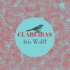 Clareiras