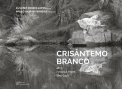 Crisântemo Branco