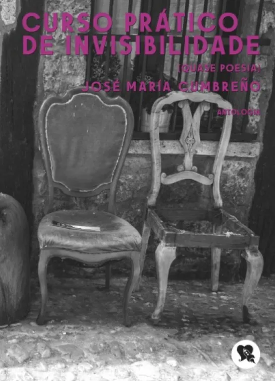 Curso Prático de Invisibilidade - Quase poesia