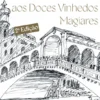 Das Pontes do Porto aos Doces Vinhedos Magiares