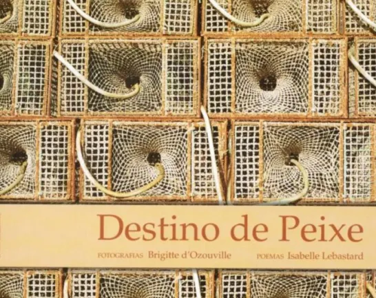 Destino de Peixe