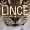 Diário da Natureza - Lince Iberico