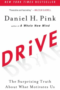 Drive: The Surprising Truth About What Motivates Us