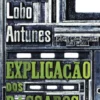 Explicação dos Pássaros
