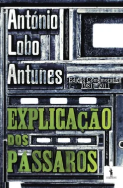 Explicação dos Pássaros