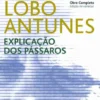 Explicação dos Pássaros