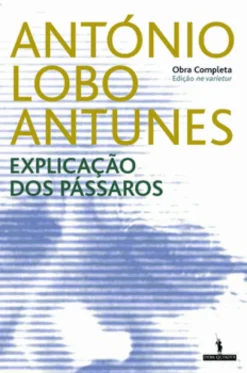 Explicação dos Pássaros