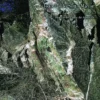 Foz-Côa