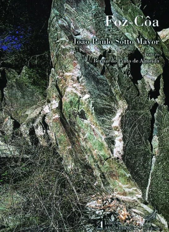 Foz-Côa