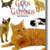 Gatos & Gatinhos