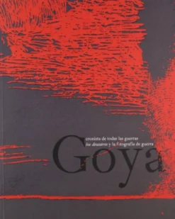 Goya Chronicler of War : Los Desastres and the Photography of War