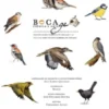 Guia das Aves de Aquilino Ribeiro