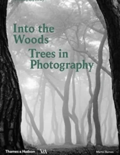 Into the Woods: Trees in Photography