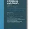 Manual de Direito Comercial Angolano Vol. I - Lições de Direito Comercial e Legislação Comercial