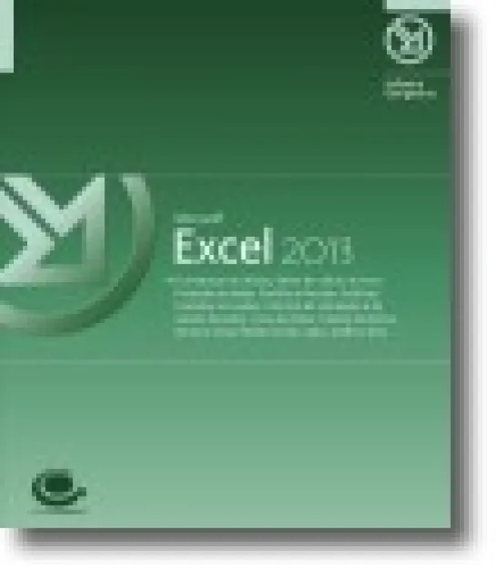 Microsoft Excel 2013