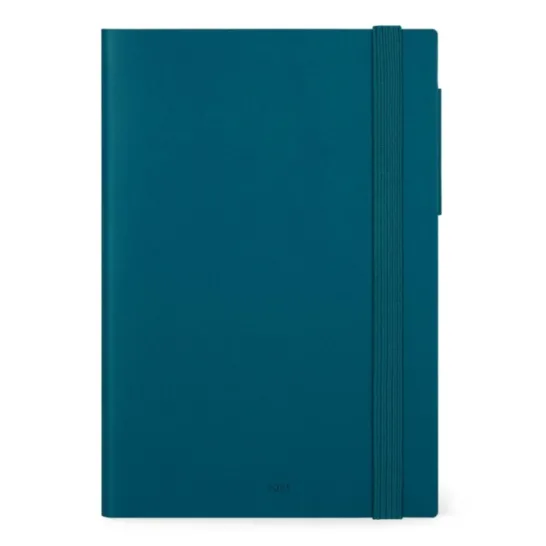 12-MONTH DIARY - 2025 - MEDIUM DAILY DIARY - TEAL BLUE