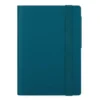 12-MONTH DIARY - 2025 - SMALL DAILY DIARY - TEAL BLUE