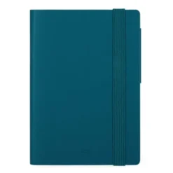 12-MONTH DIARY - 2025 - SMALL DAILY DIARY - TEAL BLUE