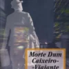 Morte Dum Caixeiro - Viajante