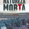 Natureza Morta