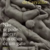 Não se Pode Morar nos Olhos de Um Gato