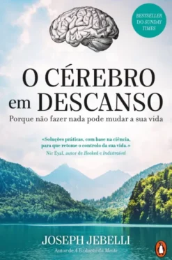 O Cérebro em Descanso