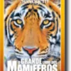 O Grande Livro dos Mamíferos