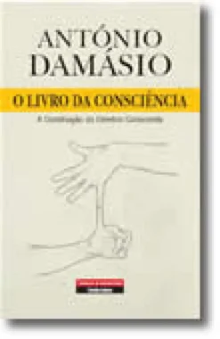 O Livro da Consciência