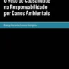O Nexo de Causalidade na Responsabilidade por Danos Ambientais