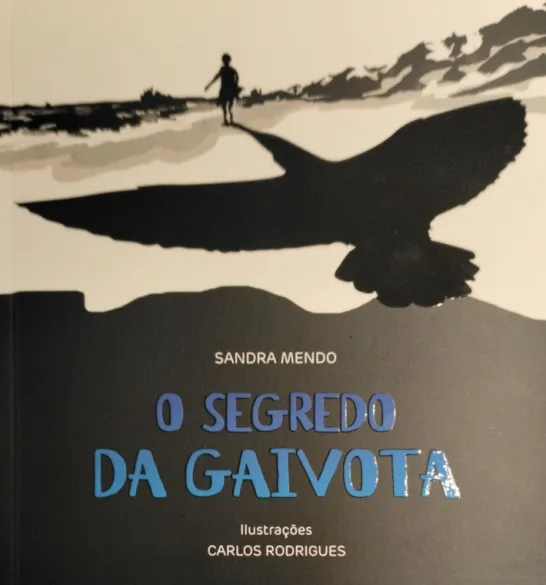 O Segredo da Gaivota