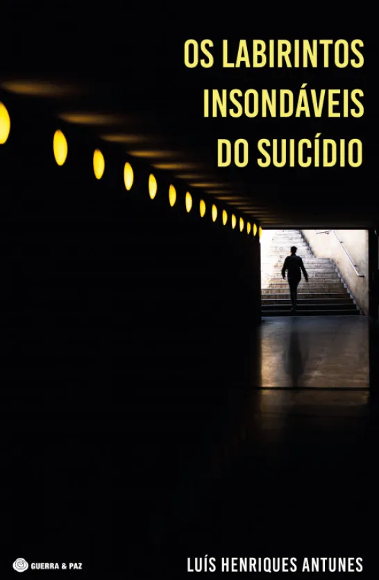 Os Labirintos Insondáveis do Suicídio