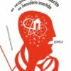 Os Resquícios de um Meteorito no Hemisfério Invertido