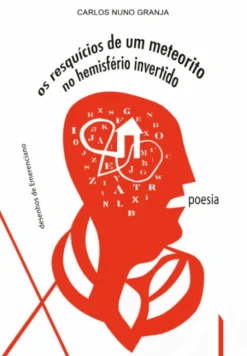 Os Resquícios de um Meteorito no Hemisfério Invertido