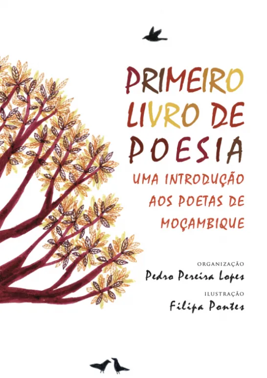 Primeiro Livro de Poesia - Uma introdução aos poetas de Moçambique