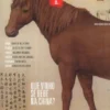Revista Via do Meio 01 - Outono 2023