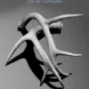 Rol de Cornudos