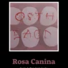 Rosa Canina