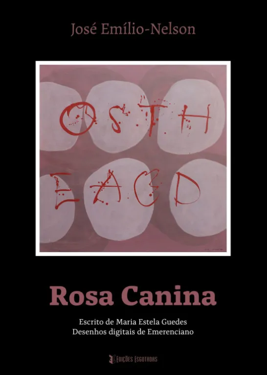 Rosa Canina