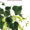 Árvores que se Comem - Folhas, Frutos e Sementes