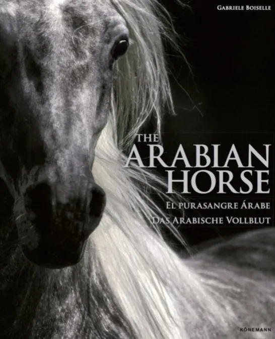 The Arabian Horse