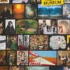 The Art Museum