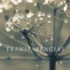 Transparências