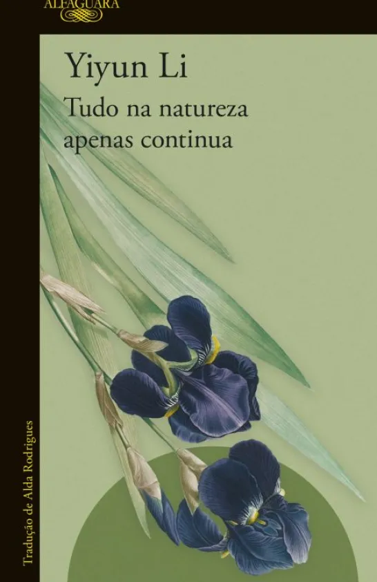 Tudo na Natureza Apenas Continua
