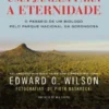 Uma Janela para a Eternidade