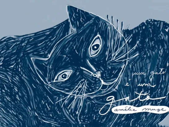 Um Gato É Um Gato