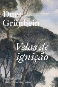 Velas de Ignição